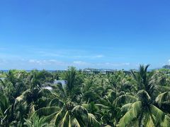 -海棠湾威斯汀酒店·知味西餐厅