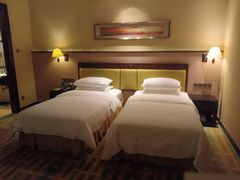 -惠州惠阳丽景国际花园酒店(市政广场店)