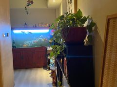 -逸栈养生SPA(望京店)