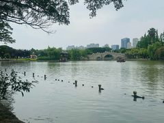 -江心屿景区