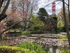 -北海道厅旧本厅舍(旧本庁舎)