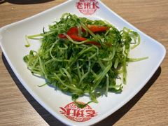 新鲜豌豆苗-老班长手工灌汤包老店(东山店)