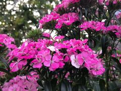 -人民公园(罗湖区)