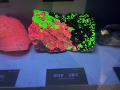 -湖南省地质博物馆