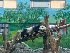 -黔灵山公园