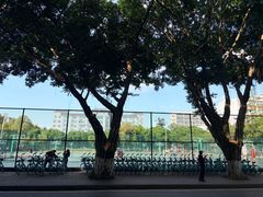 -四川大学(望江校区)