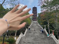 -红花山公园