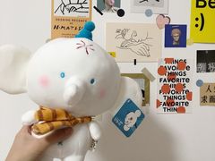 -PAWTOY爪e玩偶店(天兴罗斯福店)