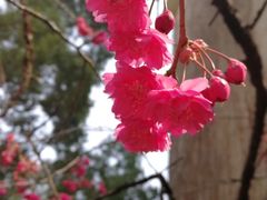 -中南财经政法大学(首义校区)