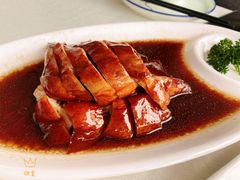 -云中小雅