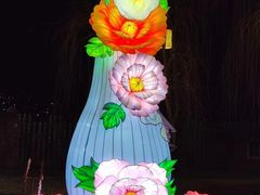 -祥源·阜阳生态乐园