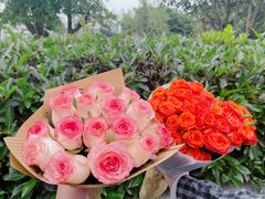 -循礼门鲜花花市(武汉循礼门店)