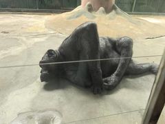 -石家庄市动物园