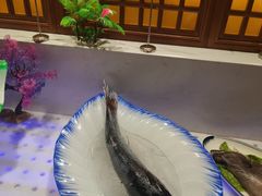 -解家河南菜(金水路店)