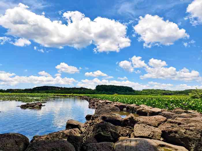 久温塘冷泉-"交通: 只能自驾或者跟旅游团,乡道路很窄.