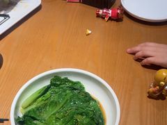 -九毛九西北菜(大东海店)