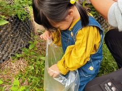 -前小桔亲子创意农场·草莓采摘·露营烧烤