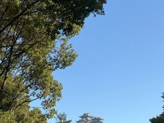 -呼吸森林·生态农庄农家乐私房菜