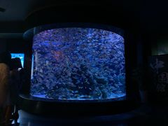 -成都浩海立方海洋公园