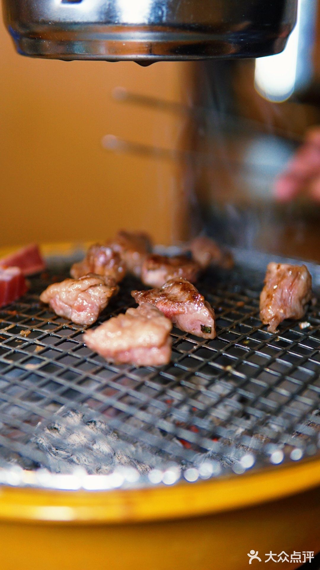 🔥388元畅吃吃千元品质和牛烧肉