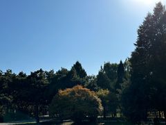 -北陵公园