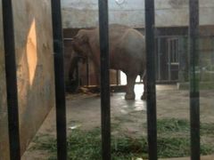 android_upload_pic-石家庄市动物园