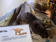 -国家自然博物馆