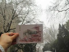 -武汉大学-樱园