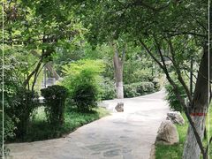 -莲湖公园
