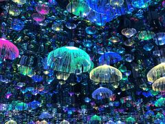 -天津梵高星空艺术馆(天河城旗舰店)