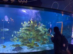 -烟台海昌鲸鲨海洋公园