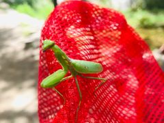 -碓臼峪自然风景区