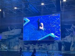 -福州罗源湾海洋世界旅游区