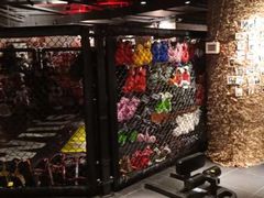 -威尔仕健身(虹桥南丰城店)