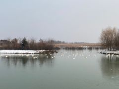 -泗洪洪泽湖湿地景区