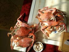 -春华海鲜城(广场西苑店)