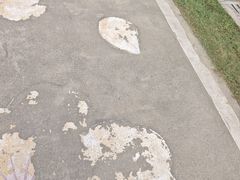 -红山体育乐园