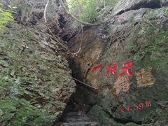 -天女山森林公园