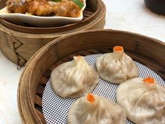 -点都德·毕德寮
