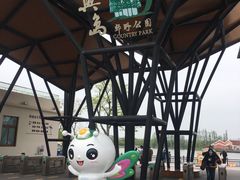 -上海长兴岛郊野公园