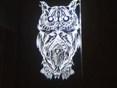 -CLUB OPUS欧贝斯酒吧(合肥店)