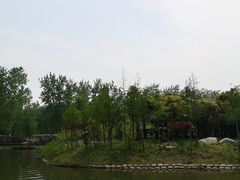 -合肥滨湖国家森林公园