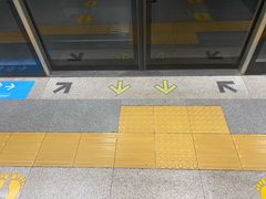 -竹子林(地铁站)