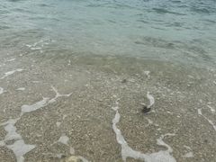 -三亚西岛海洋文化旅游区