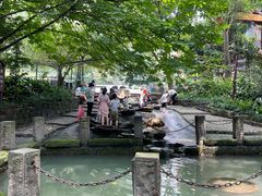-成都市活水公园