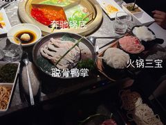 -麻路成都火锅(柏威年店)