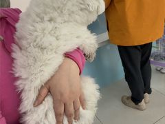 -北京观赏动物医院·24小时大型综合·猫专科·异宠专科