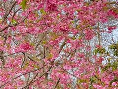 -梁鸿国家湿地公园