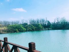 -大塘金香草谷