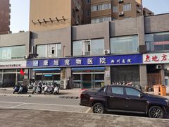 -康旭宠物医院(郑州总院)